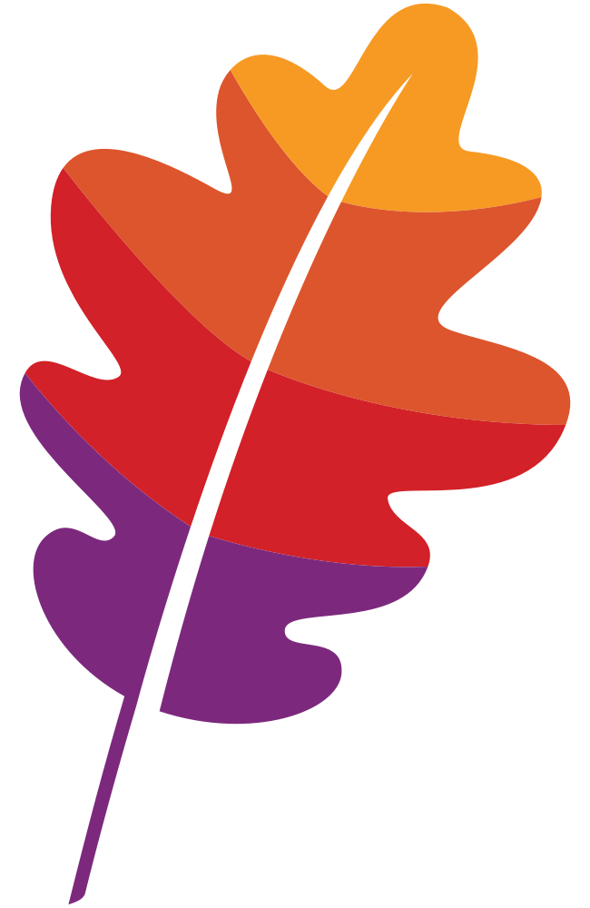 The package icon